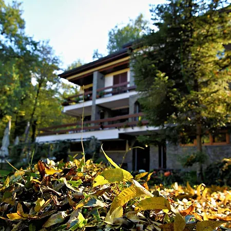 Restaurant Dreri Hotel 4*