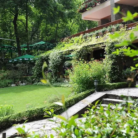 酒店 德雷瑞餐厅酒店 4*