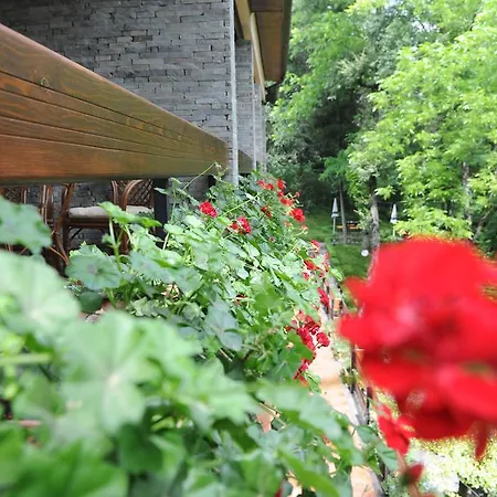 Restaurant Dreri ホテル 4*