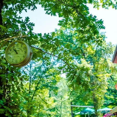 酒店 德雷瑞餐厅酒店 地拉那