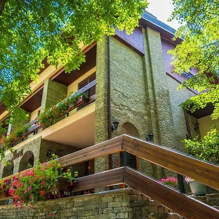 德雷瑞餐厅酒店 酒店 地拉那