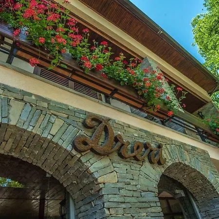 德雷瑞餐厅酒店 酒店 地拉那