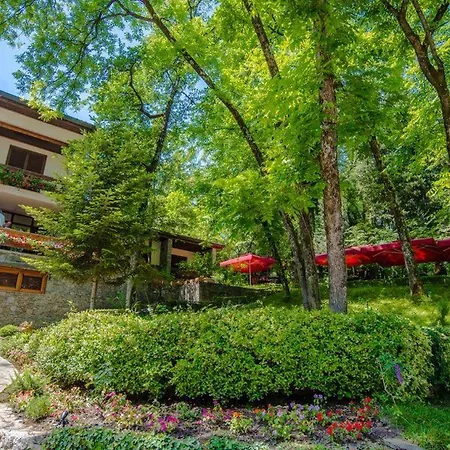 德雷瑞餐厅酒店 酒店