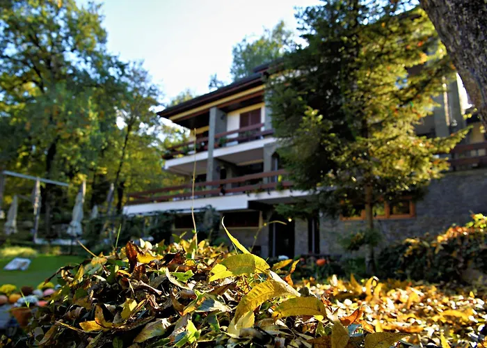 Restaurant Dreri Hotel 4*