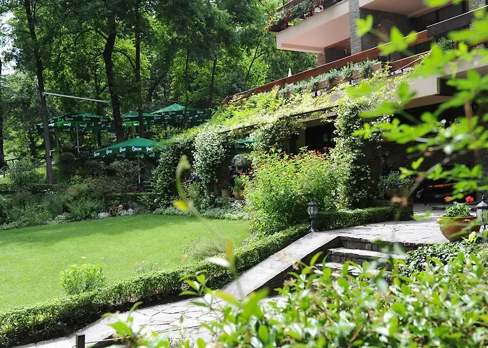 Hotel Restaurant Dreri 4*