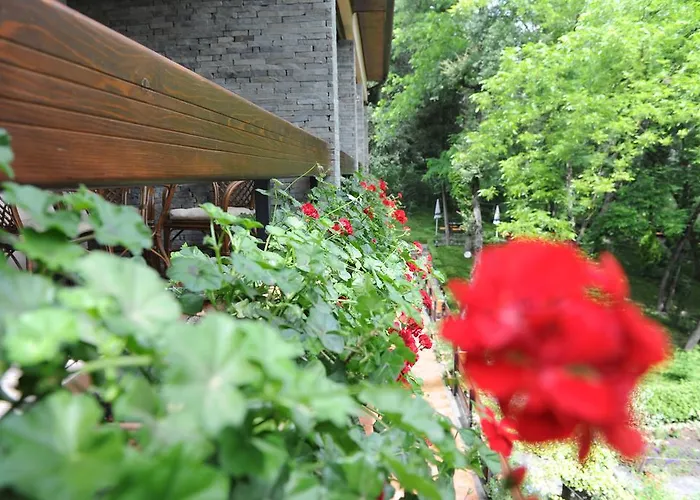 Restaurant Dreri Hotel 4*