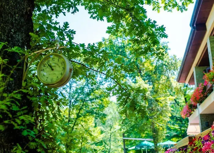 ホテル Restaurant Dreri ティラナ