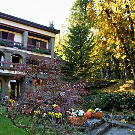 Restaurant Dreri 4*