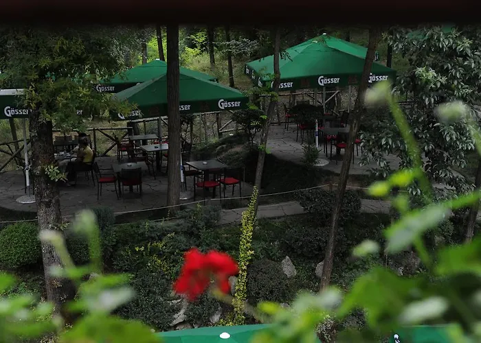ホテル Restaurant Dreri 4*